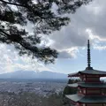 新倉富士浅間神社の写真_530118
