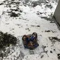 壺屋やちむん通りの写真_530719