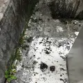 壺屋やちむん通りの写真_530725