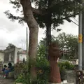 壺屋やちむん通りの写真_530728