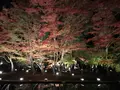 曽木公園の写真_530851