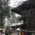 白峰宮の写真_531033
