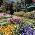 道の駅とみうら枇杷倶楽部の写真_532458