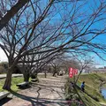 道の駅とみうら枇杷倶楽部の写真_532462