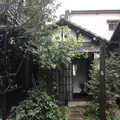 上野桜木あたりの写真_535988