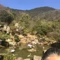 野呂山の写真_536431