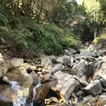 野呂山の写真_536437