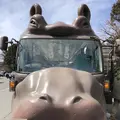 富士サファリパークの写真_536473
