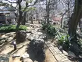 旧朝倉家住宅の写真_542373