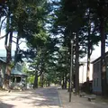 あがたの森公園の写真_542475