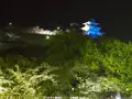 丸亀城の写真_544141