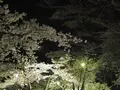 丸亀城の写真_544142