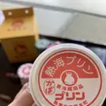 熱海プリンの写真_545590