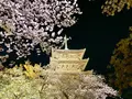 東寺（教王護国寺）の写真_546392