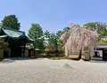 高台寺の写真_546396