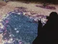 元離宮 二条城の写真_546788