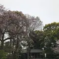 神明宮の写真_548121