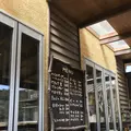 どんぐり11の写真_548924