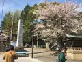 犬山城の写真_549812