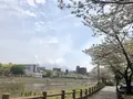 松方橋の写真_550828