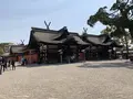 住吉大社の写真_552047