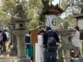 住吉大社の写真_552049