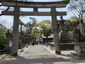 住吉大社の写真_552050