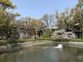 住吉大社の写真_552051