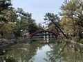 住吉大社の写真_552054