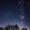 美し森の写真_552199