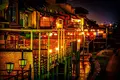鴨川の写真_552203