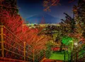 新倉山浅間公園の写真_552671