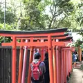 根津神社の写真_554002