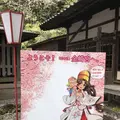 金崎宮の写真_554184