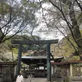 金崎宮の写真_554187