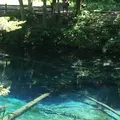 神の子池の写真_554406
