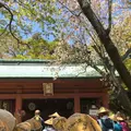 根香寺の写真_555069