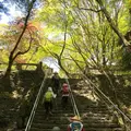 根香寺の写真_555071