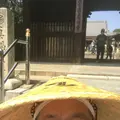 屋島神社の写真_555086
