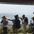 屋島神社の写真_555087