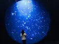 鶴岡市立加茂水族館（クラゲドリーム館）の写真_556777