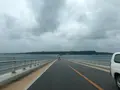 伊良部島の写真_556821