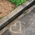 伊良部島の写真_556823