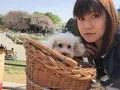 世田谷公園の写真_556980