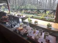 ホテルブレストンコートの写真_557409