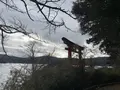 箱根神社 平和の鳥居の写真_557441