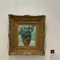ポーラ美術館の写真_557481