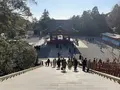 鶴岡八幡宮の写真_557506