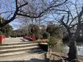 鶴岡八幡宮の写真_557507