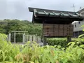 白鳥陵古墳（日本武尊白鳥陵）の写真_557670